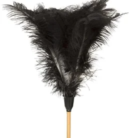 Feather Duster Feather Duster